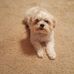 Profile Picture of Beverly Spangler (@Beverly-Spangler) on Facebook