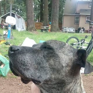 Profile Picture of Lonna Dinger (@lonna.dinger) on Facebook