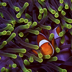 Profile Picture of Beth Watson (@beth watson images) on Flickr