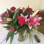 Mandy Mcmahon - Instagram Profile Picture of Mandy Mcmahon (@mandy.mcmahon1) on Instagram