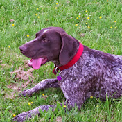 Profile Picture of Howard Clark (@howardclark3735) on Youtube