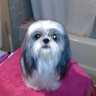 Profile Picture of Darin Lee Linder (@darin.linder) on Facebook