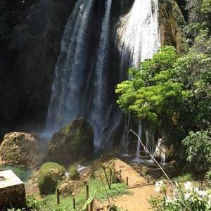 Profile Picture of Carlos Maas (@CarlosMaas4) on Twitter