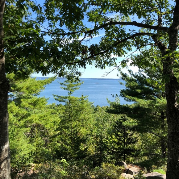 Erika Vendetti - Poshmark Profile Picture of Erika Vendetti (@erikavendetti) on Poshmark