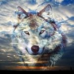 Profile Picture of michael bower (@hopping3) on Instagram