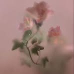 Profile Picture of Andrea Bladee (@andrea.bladee) on Facebook