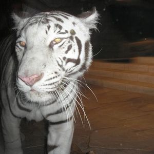 Profile Picture of Jeremy Ortega (@314431267) on Myspace