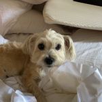 Profile Picture of Richard Gruber (@wtwelve) on Instagram