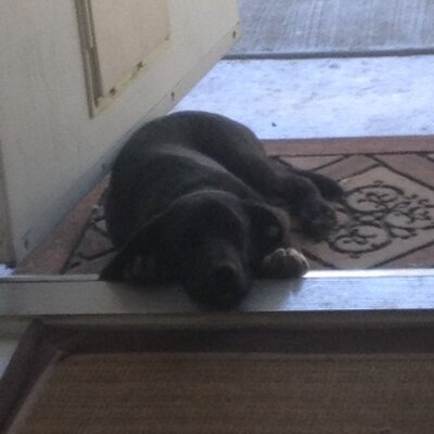 Profile Picture of Kevin Foti (@KevinFoti) on Twitter