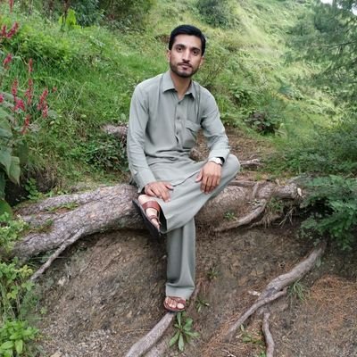 Profile Picture of Asim Qureshi (@asimqureshi909) on Twitter