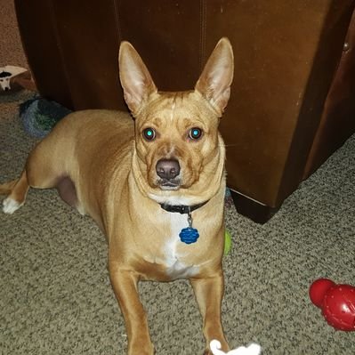 Profile Picture of James Nuckolls (@nuckolls_james) on Twitter