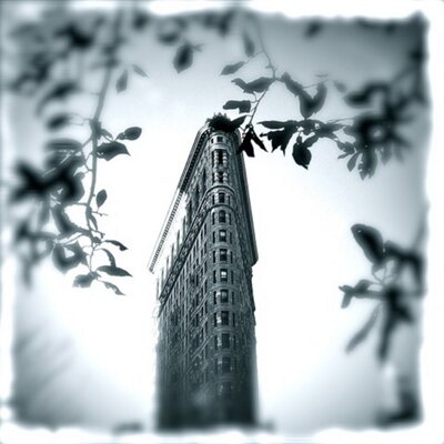 Profile Picture of Joe Toledo (@josephtoledo5) on Twitter