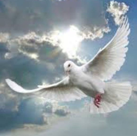 Profile Picture of Juli Grettenberger (@puffjm) on Poshmark