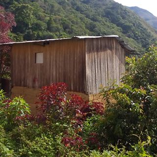 Profile Picture of Edwin Valderrama (@edwin.valderrama.7169) on Facebook