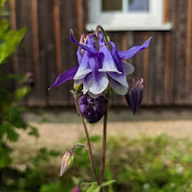 Profile Picture of David Granger (@David_Granger) on Youtube