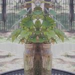 Profile Picture of Jim Greenwell (@jimmy_g_1958) on Instagram