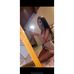 Profile Picture of Charlotte Singleton (@charlotte.singleton.5220) on Facebook