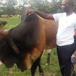 Profile Picture of Simon Murefu Gukutikwa (@murefugukutikwa) on Instagram