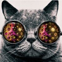 Profile Picture of Monica Schultz (@monica-schultz-10) on Quora