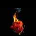 Profile Picture of Joseph Mantione (@joseph.mantione.3517) on Facebook