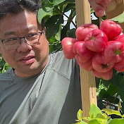 Profile Picture of Nhung Phan Cuoc Song My (@nhungphancuocsongmy) on Youtube