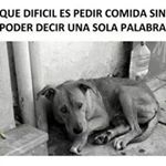 Profile Picture of Javier Aldrete (@javieraldrete) on Instagram