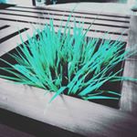 Profile Picture of Inam Ul Haq (@color.in.a.world) on Instagram