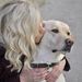 Profile Picture of Autumn Nelson (@autumnnelson) on Pinterest