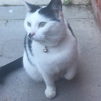 Profile Picture of Fran Hayes (@fran-hayes-6) on Quora