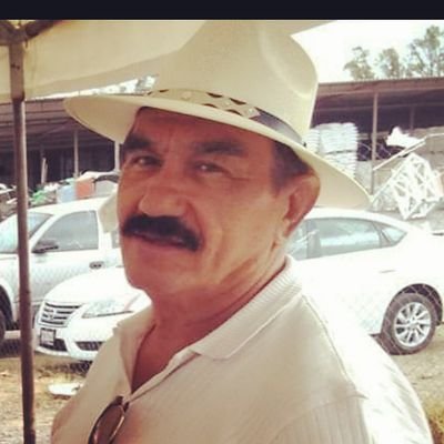 Profile Picture of José Hugo Torres Frausto (@JosHugoTorresF1) on Twitter