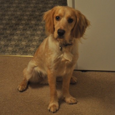 Profile Picture of Susan Elizabeth Edge (@edgeysue) on Twitter