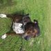 Profile Picture of Steve Peeples (@steve.peeples.589) on Facebook