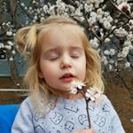 Profile Picture of Derek Staples (@dirkington_newitski) on Instagram