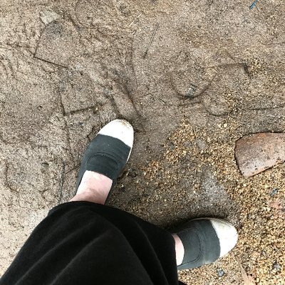 Profile Picture of Megan Krigbaum (@mdkrigbaum) on Twitter