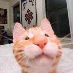 Gregory Christian Zamora - Instagram Profile Picture of Gregory Christian Zamora (@gregoryzamoraaaa) on Instagram