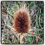 Profile Picture of Stefan Mayer (@derstefan73) on Instagram