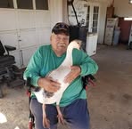 Profile Picture of Jesse Salcedo (@jesse.salcedo.779) on Facebook