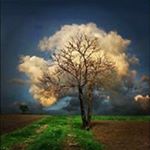 Profile Picture of joel rosas (@joelrosas705) on Instagram