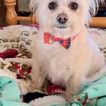 Profile Picture of Kim McClinton-Driscoll (@mcclintondriscoll) on Instagram