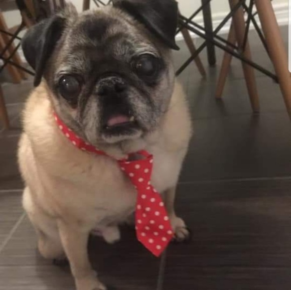 Alexia Jacobson - Poshmark Profile Picture of Alexia Jacobson (@alexiajacobson) on Poshmark