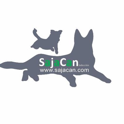 Profile Picture of Daniel Cosío (@cletosaja) on Twitter