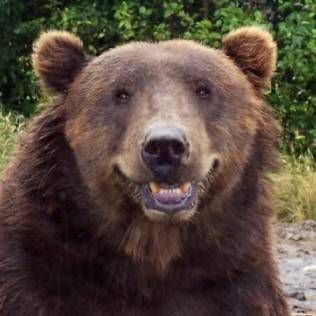 Profile Picture of David Strevens (@fred.bump.714) on Facebook