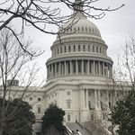 Profile Picture of adamerlewine17 (@adam_erlewine1704) on Instagram