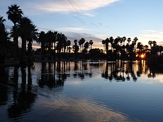Profile Picture of Phoenix, Arizonaon Wikipedia