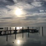 Profile Picture of Lori Cushing (@loriacushing) on Instagram