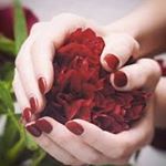 Profile Picture of Bryan P. Scherr (@bryanp.scherr5397) on Instagram