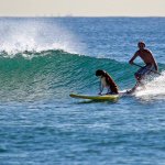 Profile Picture of Bones (@brandonribbink) on Instagram