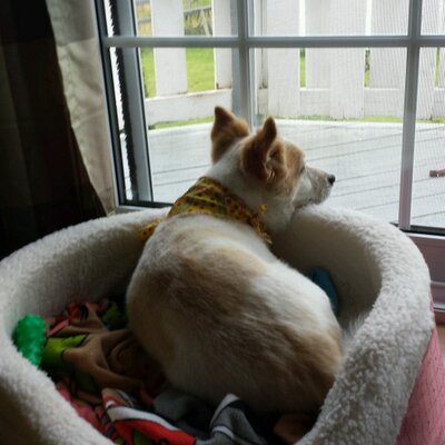 Profile Picture of Nicholas Keefe (@keefenick7) on Twitter