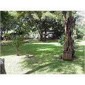 Profile Picture of Abdul Umar (@abdulumar6667) on Youtube