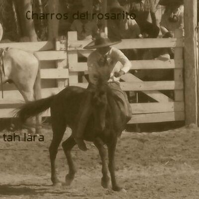 Profile Picture of David Jesus Tah Lara (@davidjesustahla) on Twitter